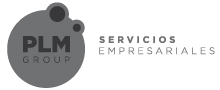 PLM Group